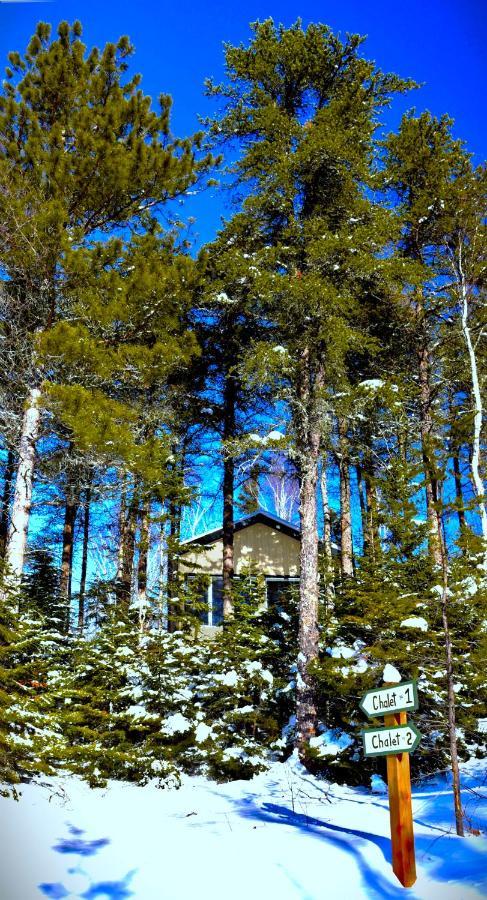 Chalet Charlevoix Experience Thermale En Pleine Nature - Nature Charlevoix - #1 Les Eboulements